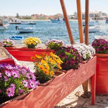 Del Sole Borgo 84 Lejlighed